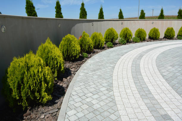 Best Professional Driveway Pavers  in Whittingham, NJ